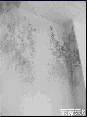 墻面發霉發黑怎么辦？墻面已經出現霉斑時怎么做？