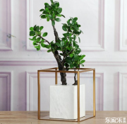 室內裝修有哪些裝修風格？簡述各類裝修風格優缺點