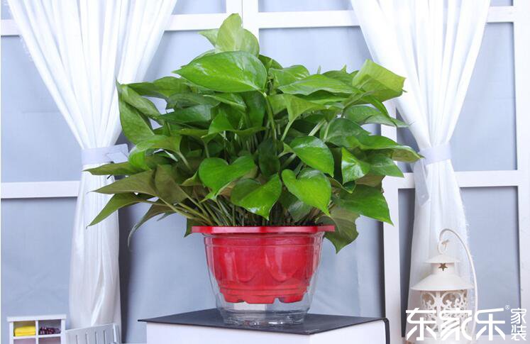 剛裝修完的房子里含有哪些有害物質(zhì)？哪些方法可以去除？